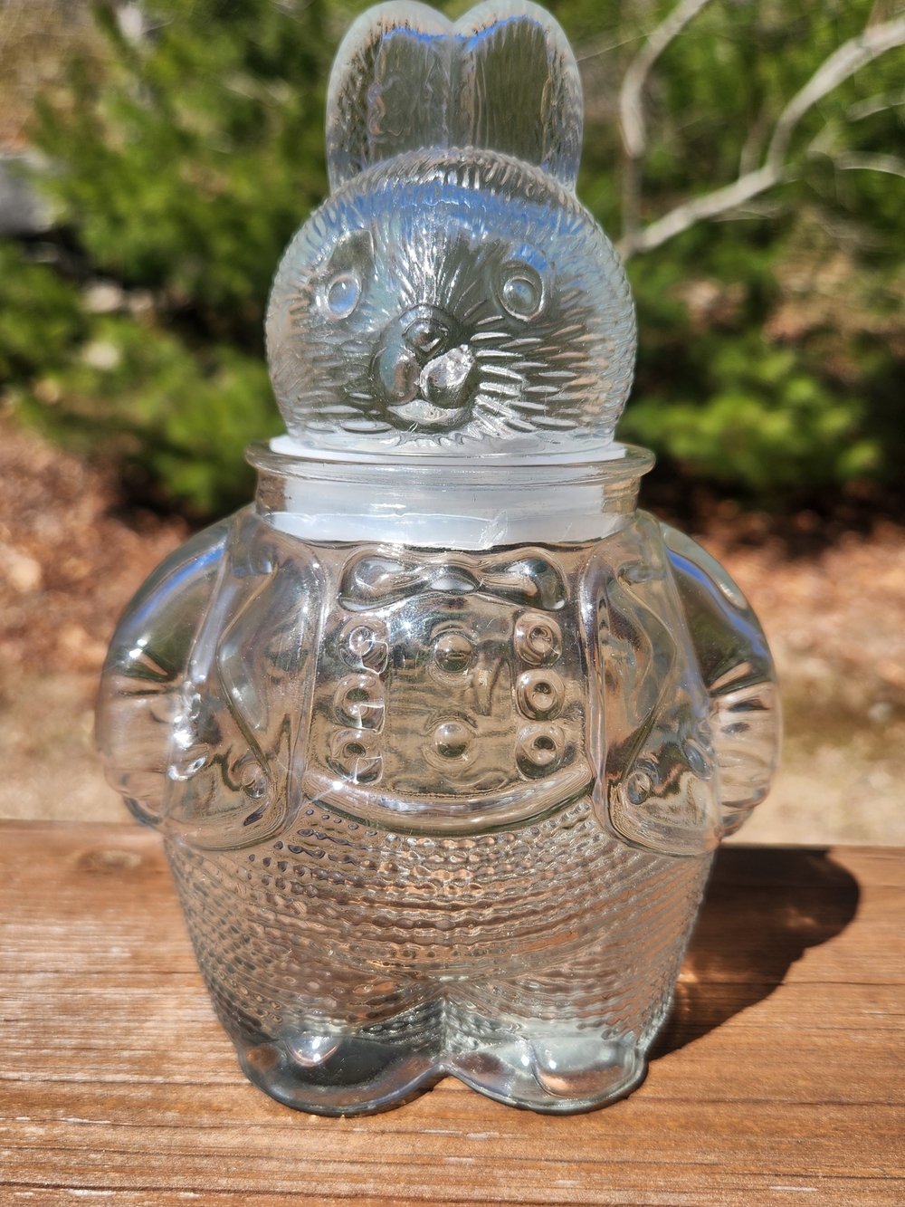 Vintage Clear Pressed Glass Chubby Bunny Rabbit Two Piece Candy Jar